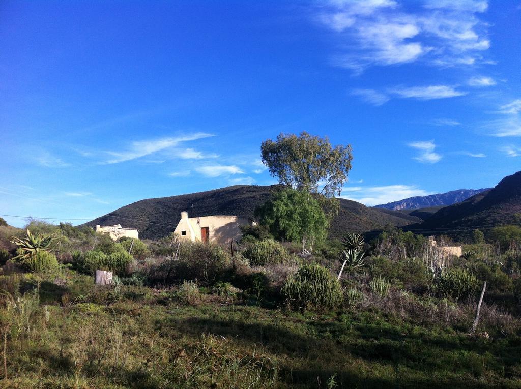 Koedoeskloof Guesthouse Ladismith Dış mekan fotoğraf